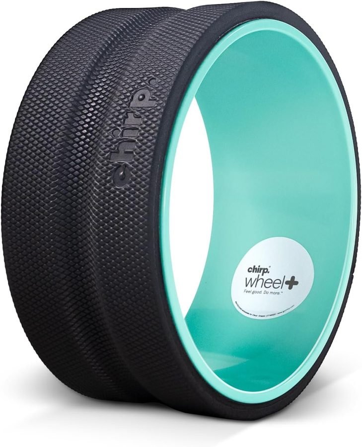 Chirp Wheel+